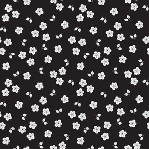 Scattered white flowers on black