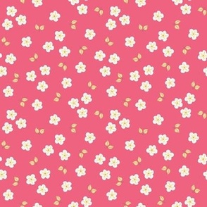 Scattered white flowers on pink