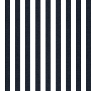 02 Graphite and White- Vertical Stripes- 1 Inch- Linen Texture- Awning Stripes- Cabana Stripes- Zebra Stripes- Dark Gray- Grey- Petal Solids Coordinate- Striped Wallpaper- Halloween- Medium