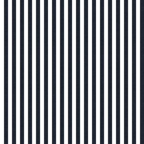 02 Graphite and White- Vertical Stripes- Half Inch- Linen Texture- Awning Stripes- Cabana Stripes- Zebra Stripes- Dark Gray- Grey- Petal Solids Coordinate- Striped Wallpaper- Halloween- Small