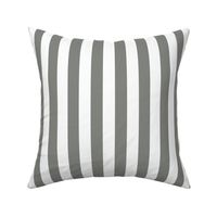 03 Pewter Gray and White- Vertical Stripes- 1 Inch- Awning Stripes- Cabana Stripes- Petal Solids Coordinate- Striped Wallpaper- Grey- Neutral- Medium