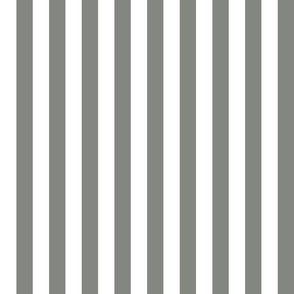 03 Pewter Gray and White- Vertical Stripes- 1 Inch- Awning Stripes- Cabana Stripes- Petal Solids Coordinate- Striped Wallpaper- Grey- Neutral- Medium