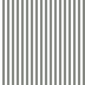 03 Pewter Gray and White- Vertical Stripes- Half Inch- Awning Stripes- Cabana Stripes- Petal Solids Coordinate- Striped Wallpaper- Grey- Neutral- Small