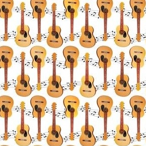 Classical Acoustic Guitars Music Notes