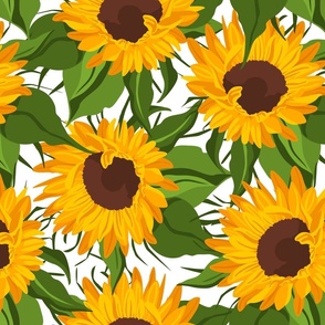 Sunflower field