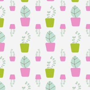 Bright Green and Pink Potted Plants on a light background