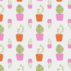 Red Orange and Pink Potted Plants on a light background