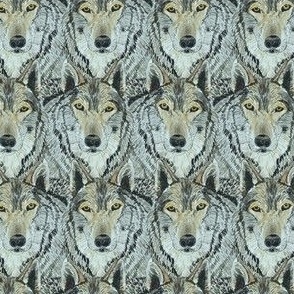 wolf [small version]