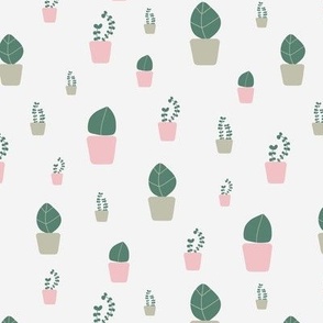 Pastel Pink and Green Potted Plants on a light background. 