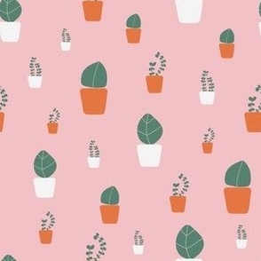 Orange and Green Potted Plants on a pink background 