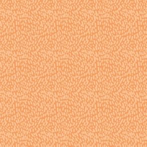 Garden Tracks Abstract in Orange (5x5)