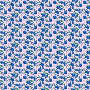 Wild Maine Blueberries on Pink (3x3)