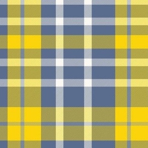 Bright Yellow and Blue Tartan Plaid