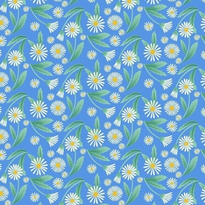 Spring Daisies on Soft Blue (5x5)