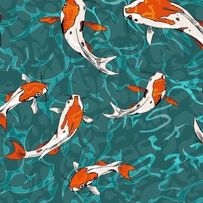 Koi carp large  scale