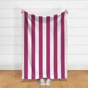 18 Bubble Gum Pink- Vertical Stripes- 0Extra Large- 4 Inches- Awning Stripes- Cabana Stripes- Petal Solids Coordinate- Extra Large