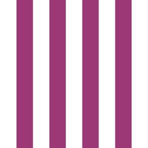 19 Berry Pink- Vertical Stripes- 2 Inches- Awning Stripes- Cabana Stripes- Petal Solids Coordinate- Large