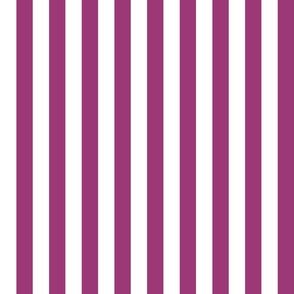 19 Berry Pink- Vertical Stripes- 1 Inch- Awning Stripes- Cabana Stripes- Petal Solids Coordinate- Medium