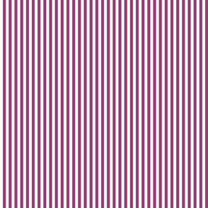 19 Berry Pink- Vertical Stripes- Quarter Inch- Awning Stripes- Cabana Stripes- Petal Solids Coordinate- Extra Small
