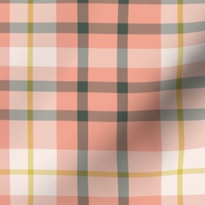 Cute Girly Pink Plaid w/Yellow Accents for Baby Girl Nursery Room Decor