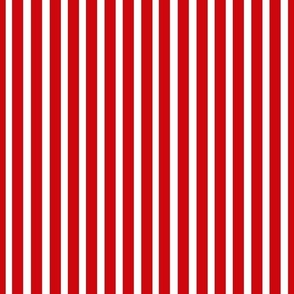 Large Scale Movie Night Popcorn Red and White Stripes