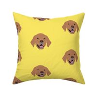 Golden Retriever on Yellow