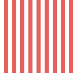 24 Coral- Vertical Stripes- 1 Inch- Awning Stripes- Cabana Stripes- Petal Solids Coordinate- Flamingo- Pink- Pastel Christmas- Holidays- Medium