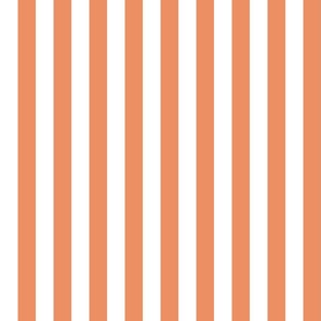 25 Peach Orange- Vertical Stripes- 1 Inch- Awning Stripes- Cabana Stripes- Petal Solids Coordinate- Soft Orange- Pastel Halloween- Medium