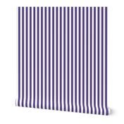 28 Grape- Vertical Stripes- 1 Inch- Awning Stripes- Cabana Stripes- Petal Solids Coordinate- Violet- Purple- Lavender- Halloween- Medium