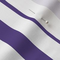 28 Grape- Vertical Stripes- 1 Inch- Awning Stripes- Cabana Stripes- Petal Solids Coordinate- Violet- Purple- Lavender- Halloween- Medium