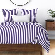 28 Grape- Vertical Stripes- 1 Inch- Awning Stripes- Cabana Stripes- Petal Solids Coordinate- Violet- Purple- Lavender- Halloween- Medium