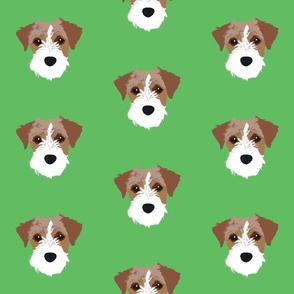 Jack Russell on Green