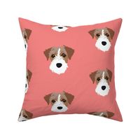 Jack Russell on Pink