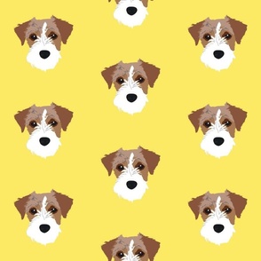 Jack Russell on Yellow