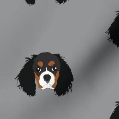 Cavalier King Charles Spaniel on Gray