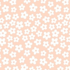 Small | Spring Daisies on Dusty Coral
