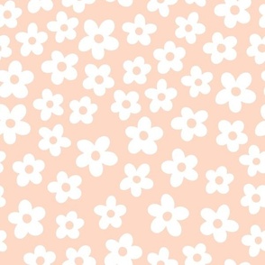 Medium | Spring Daisies on Dusty Coral