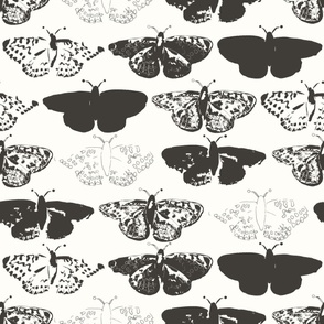 Black and White Monarch Butterfly (24")