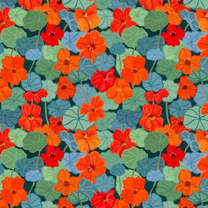 Nasturtium