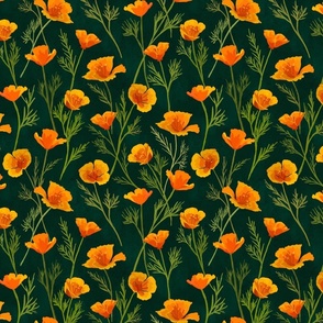 California Poppy