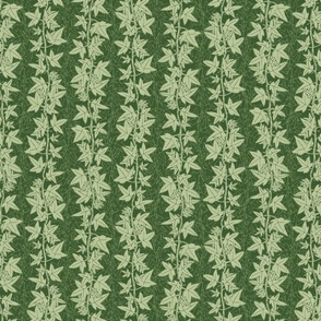 Hedera Ivy Vines - green light on dark leaves - grass mint 