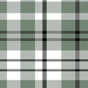 Modern Tartan Plaid Green, Blue, White