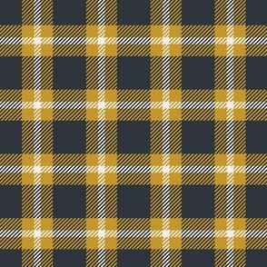 Blue and Yellow Check Plaid