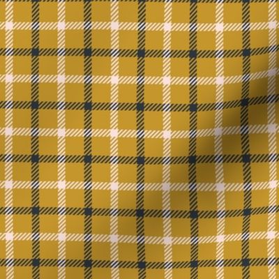 Blue and Yellow Plaid Check