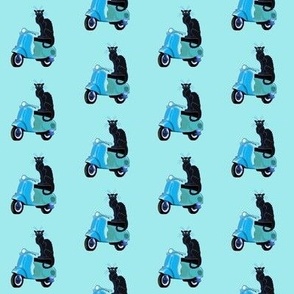 Le chat noir on a Vespa in turquoise 