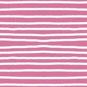 Sketchy Stripes // Apple Blossom