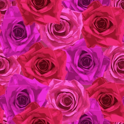 Pink Rose, pink roses, HD phone wallpaper | Peakpx