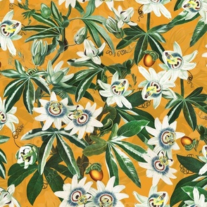 vintage tropical passionflowers reconstructed by robert john thorton, antiqued green leaves and nostalgic beautiful tropical jungle blossoms sunny orange double layer