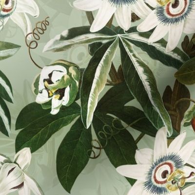 vintage tropical passionflowers reconstructed by robert john thorton, antiqued green leaves and nostalgic beautiful tropical jungle blossoms green double layer