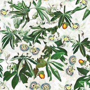 vintage tropical passionflowers reconstructed by robert john thorton, antiqued green leaves and nostalgic beautiful tropical jungle blossoms off white double layer